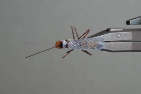 Skwala, top view Skwala, top view