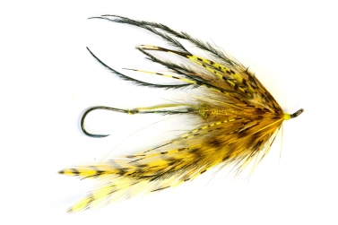 Spey Intruder Curry Spey Intruder Curry