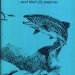 northeast_baitfish and patterns
