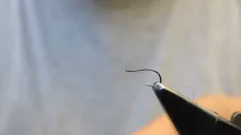 Video thumb for Soft hackle wet w/split thread rib