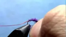 Video thumb for Deep Purple Nymph