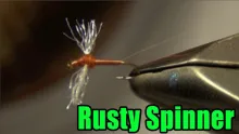 Video thumb for Rusty Spinner Mayfly