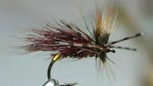 Video thumb for The Gnasher Sedge Hog 