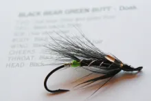 User submitted picture: Black Bear Green Butt