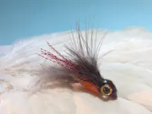 User submitted picture: Hobnob in Fly