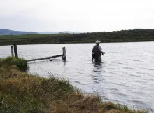 User submitted picture: Working leech patterns on...