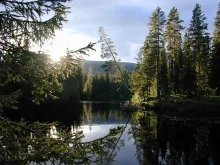 User submitted picture: Swedish Grayling stream, ...