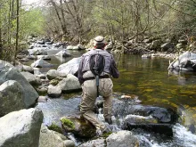 User submitted picture: Trout just under the rod ...