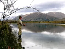 User submitted picture: No baby-sitting or making...