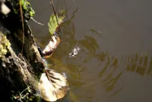 User submitted picture: Dangerous SEX