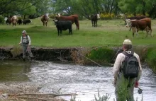 User submitted picture: Watch your backcast Val.