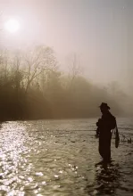 User submitted picture: Misty Morning tailwater