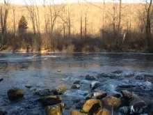 User submitted picture: New Jersey Stream