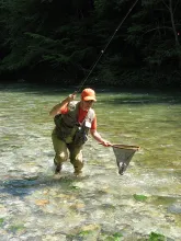 User submitted picture: Fast net ! by guidepechem...