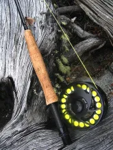 User submitted picture: Tackle.