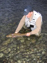 User submitted picture: Bye bye big mama ! by gui...