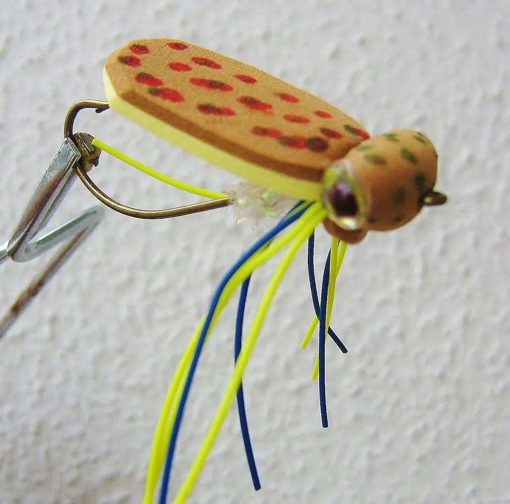 User submitted picture: Froggy for bass