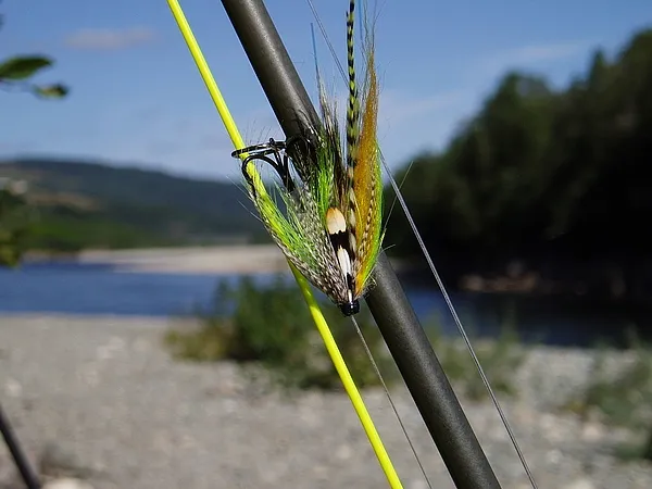 User submitted picture: MY OWN PATTERN