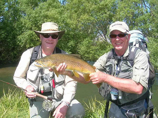 User submitted picture: Large well marked brown t...