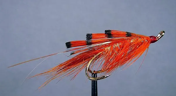 User submitted picture: The Good Old  "General P...