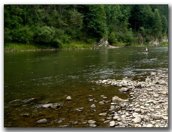 User submitted picture: Dunajec River, southern P...