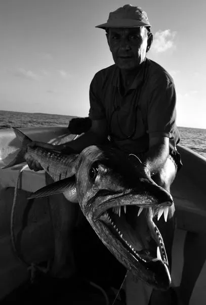 User submitted picture: Croc