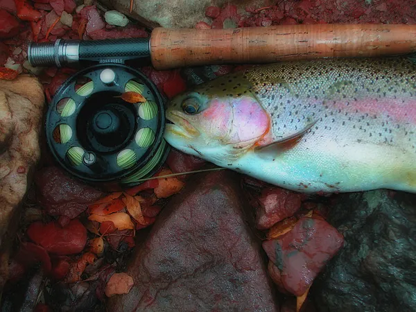 User submitted picture: Rainbow