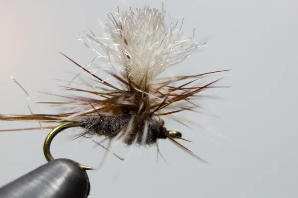 User submitted picture: Size 20 Parachute Adams u...