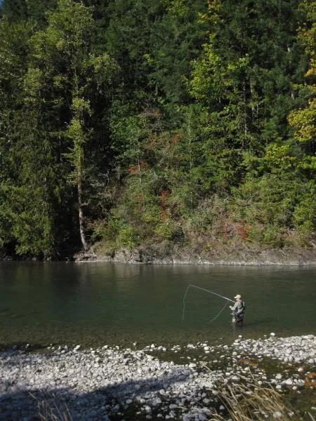 User submitted picture: Angler in the water in BC